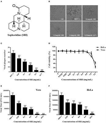 Sophoridine Suppresses Herpes Simplex Virus Type 1 Infection by Blocking the Activation of Cellular PI3K/Akt and p38 MAPK Pathways